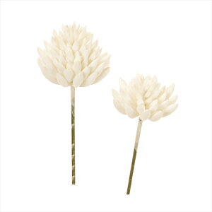 yA[eBtBVt[@ԁ@O[@[t@Az@Z_A\[gsbN@1@@WHITE fg001632-001 Ayz