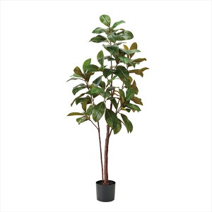 yA[eBtBVt[@ԁ@CeAO[@ϗt؁z@AX}OmA|bg@GREEN fg001680-zzz ϗt؁yz