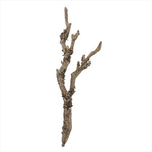 yA[eBtBVt[@ԁ@}́z@fBXvCu`@BROWN fg002673-zzz }@oCyz