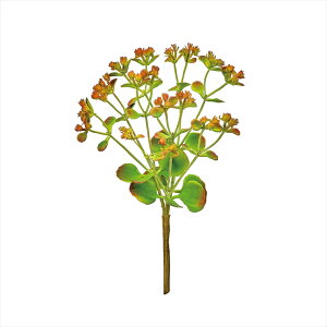 yA[eBtBVt[@ԁ@O[@[t@Az@JRG}@GR^PE fg002774-zzz Ayz