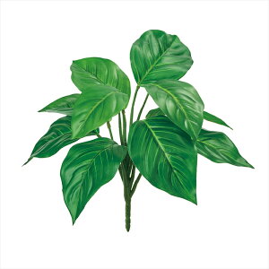 yA[eBtBVt[@ԁ@O[@[t@Az@GNXeAAOIl}ubV@24@GREEN fg003705-024 p[[t@gsJ[tyz