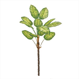 yA[eBtBVt[@ԁ@O[@[t@Az@fBtFoLA}@GREEN fg005701-zzz p[[t@gsJ[tyz