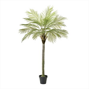 yA[eBtBVt[@ԁ@CeAO[@ϗt؁z@AXtFjbNXWCg|bg@GREEN fg006090-zzz ϗt؁yz