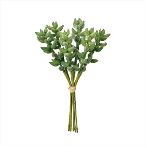 yA[eBtBVt[@ԁ@O[@[t@Az@r[Z_sbN@GREEN fg006935-zzz Ayz