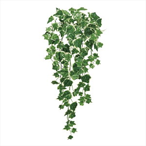 yA[eBtBVt[@ԁ@O[@[t@Az@GNXeAACr[oC@23@CR^GR fg008272-023 ACr[yz