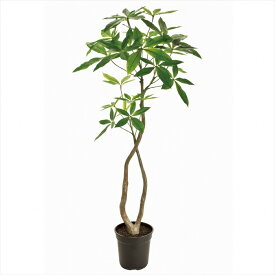 【アーティフィシャルフラワー　造花　インテリアグリーン　観葉樹木】　★AX★パキラ　4F　GREEN fg022000-zzz 観葉樹木【東京堂】