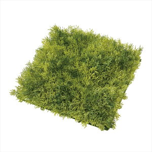 yA[eBtBVt[@ԁ@x[X@iiA[eBtBVjz@CfBAX}bg@24@GREEN fg302507-024 }bg@V[gyz