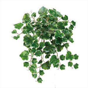 yA[eBtBVt[@ԁ@O[@[t@Az@GNXeA[jEoC@GR^CR fg312350-zzz p[[t@gsJ[tyz