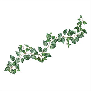 yA[eBtBVt[@ԁ@O[@[t@Az@GNXeAhXJYK[h@GREEN fg312354-zzz p[[t@gsJ[tyz