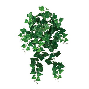 �y�A�[�e�B�t�B�V�����t�����[�@���ԁ@�O���[���@���[�t�@�����A���z�@��R�w�f���A�C�r�[�o�C���@GREEN fg612507-zzz �A�C�r�[�y�������z