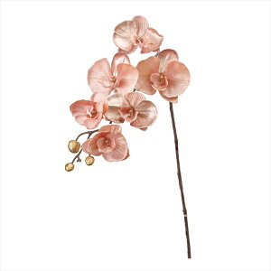 yA[eBtBVt[@ԁ@t[iA[eBtBVjz@t@mxx@6@@@PEACH fj003716-006 Ӓ@t@myz