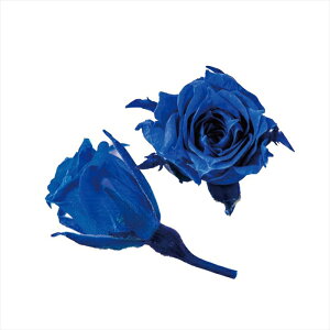 yvU[uht[@t[ivU[uhjz@}CN[Y@Ou[ fl000060-012 [Y@oyz