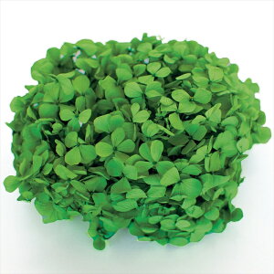 yvU[uht[@t[ivU[uhjz@AfXAWTC@O[ fl000291-023 AWTCyz