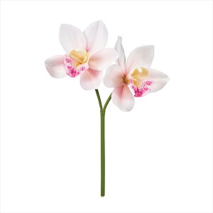 yA[eBtBVt[@ԁ@t[iA[eBtBVjz@~fBVrWE@102@WH^PK fm001037-102 I[Lbh@yz