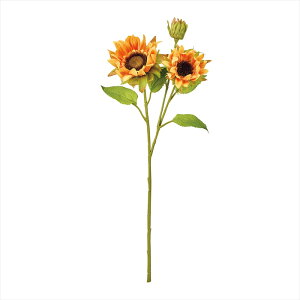 yA[eBtBVt[@ԁ@t[iA[eBtBVjz@u[Tt[@21@OR^YL fm001299-021 Ђ܂yz