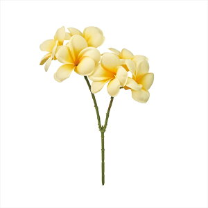 yA[eBtBVt[@ԁ@t[iA[eBtBVjz@A}_vA@4@@YELLOW fm001613-004 vAyz