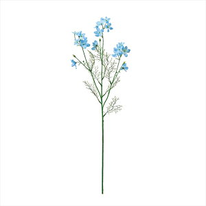 �y�A�[�e�B�t�B�V�����t�����[�@���ԁ@�t�����[�i�A�[�e�B�t�B�V�����j�z�@�f���t�B�j�E���V�l���V�X�@��5�@�@LTBL fm002994-005 �f���t�B�j�E���y�������z