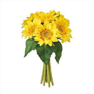 yA[eBtBVt[@ԁ@t[iA[eBtBVjz@VTt[oh@4@@YELLOW fm004829-004 Ђ܂yz