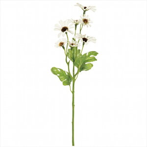 �y�A�[�e�B�t�B�V�����t�����[�@���ԁ@�t�����[�i�A�[�e�B�t�B�V�����j�z�@�}���[�f�[�W�[�@��1�@�@WHITE fm000138-001 �f�[�W�[�@�t�����l���t�����[�y�������z