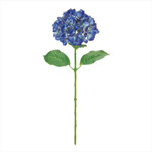 yA[eBtBVt[@ԁ@t[iA[eBtBVjz@NeBnChWA@5@@BLUE fm000239-005 @nChWAyz