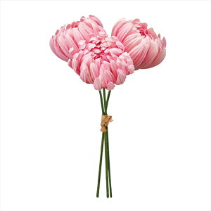 yA[eBtBVt[@ԁ@t[iA[eBtBVjz@OCX}sbN@2@@PINK fm000273-002 }@eyz