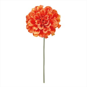 yA[eBtBVt[@ԁ@t[iA[eBtBVjz@vC_AsbN@9@@ORANGE fm000414-009 _Ayz