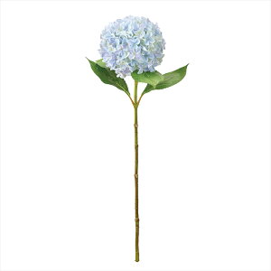 yA[eBtBVt[@ԁ@t[iA[eBtBVjz@{k[nChWA@5@@LTBL fm000540-005 @nChWAyz