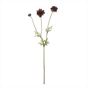 yA[eBtBVt[@ԁ@t[iA[eBtBVjz@hD[uXJrIT@7@@BURG fm001915-007 XJrIT@ԑyz