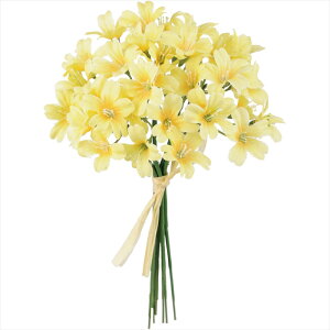 �y�A�[�e�B�t�B�V�����t�����[�@���ԁ@�t�����[�i�A�[�e�B�t�B�V�����j�z�@�p�X�e���t�����[�s�b�N�@��4�@�@YELLOW fm002160-004 ���ԁy�������z