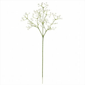 yA[eBtBVt[@ԁ@t[iA[eBtBVjz@xr[YuXXv[@1@@WHITE fm003632-001 ݑ@Wv\yz