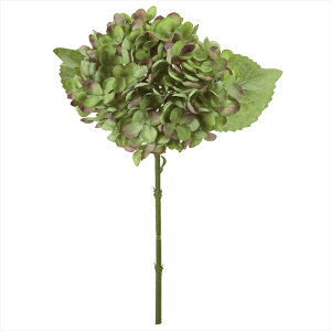 yA[eBtBVt[@ԁ@t[iA[eBtBVjz@onChWA@24@GREEN fm006059-024 @nChWAyz