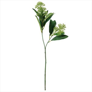 �y�A�[�e�B�t�B�V�����t�����[�@���ԁ@�t�����[�i�A�[�e�B�t�B�V�����j�z�@�v�����V�L�~�A�@��23�@LTGR fm006712-023 �V�L�~�A�y�������z