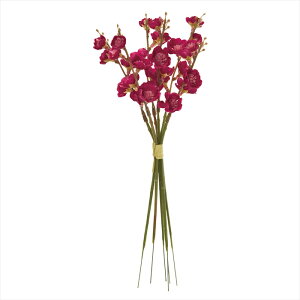 yA[eBtBVt[@ԁ@t[iA[eBtBVjz@aԃsbN@16@BEAUTY fm007313-016 ~yz