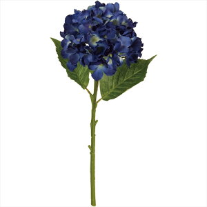 yA[eBtBVt[@ԁ@t[iA[eBtBVjz@@10@DKBL fm007988-010 @nChWAyz