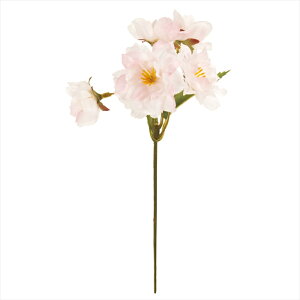 yA[eBtBVt[@ԁ@t[iA[eBtBVjz@敗sbN@PINK fm008562-zzz yz