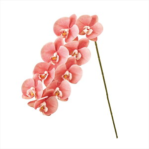 �y�A�[�e�B�t�B�V�����t�����[�@���ԁ@�t�����[�i�A�[�e�B�t�B�V�����j�z�@�t���u���[���t�@���m�@��28�@CO�^OR fm009649-028 �I�[�L�b�h�@���y�������z