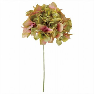 yA[eBtBVt[@ԁ@t[iA[eBtBVjz@AXnChWA@24@GR^MV fm025048-024 @nChWAyz