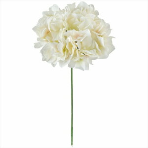 yA[eBtBVt[@ԁ@t[iA[eBtBVjz@AXnChWA@37@IVORY fm025048-037 @nChWAyz