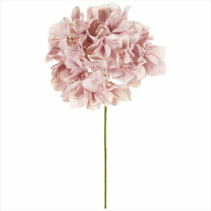 yA[eBtBVt[@ԁ@t[iA[eBtBVjz@AXnChWA@42@MAUVE fm025048-042 @nChWAyz