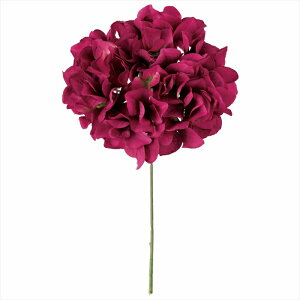 yA[eBtBVt[@ԁ@t[iA[eBtBVjz@AXnChWA@53@BEAUTY fm025048-053 @nChWAyz