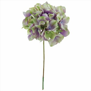 yA[eBtBVt[@ԁ@t[iA[eBtBVjz@AXnChWA@111@LV^GR fm025048-111 @nChWAyz