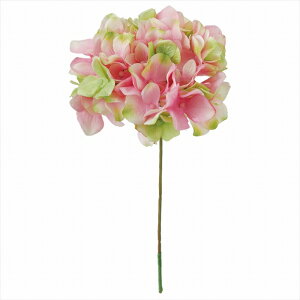 yA[eBtBVt[@ԁ@t[iA[eBtBVjz@AXnChWA@152@PK^GR fm025048-152 @nChWAyz