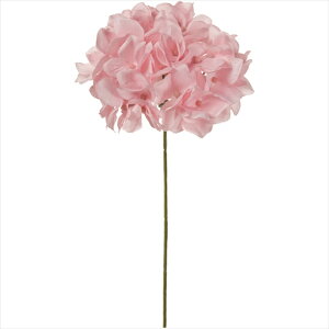 yA[eBtBVt[@ԁ@t[iA[eBtBVjz@AXnChWA@202@PRPK fm025048-202 @nChWAyz