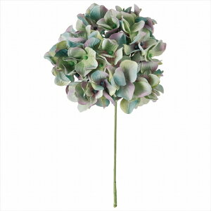 yA[eBtBVt[@ԁ@t[iA[eBtBVjz@A[xgnChWA@10@AQ^GR fm025049-010 @nChWAyz