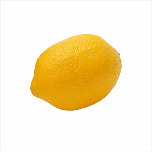 �y�A�[�e�B�t�B�V�����t�����[�@���ԁ@�����́@�ʕ��@��؁@�p���z�@�t���b�V���������@YELLOW fv002532-zzz �ʕ����̑��y�������z