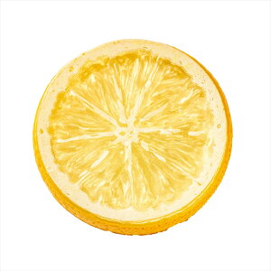 �y�A�[�e�B�t�B�V�����t�����[�@���ԁ@�����́@�ʕ��@��؁@�p���z�@�������X���C�X�@YELLOW fv003640-zzz �ʕ����̑��y�������z