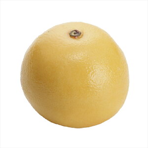 yA[eBtBVt[@ԁ@́@ʕ@؁@pz@O[vt[c@4@@YELLOW fv0f3506-004 ʕ̑yz