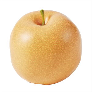 �y�A�[�e�B�t�B�V�����t�����[�@���ԁ@�����́@�ʕ��@��؁@�p���z�@�i�V�@��8�@�@BROWN fv0t0324-008 �ʕ����̑��y�������z