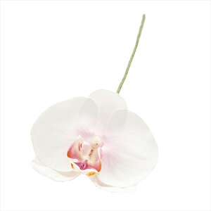 yA[eBtBVt[@ԁ@t[iA[eBtBVjz@A~[t@m@2@@LTPK fw090184-002 Ӓ@t@myz