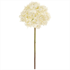 yA[eBtBVt[@ԁ@t[iA[eBtBVjz@NVJnChWA@37@CREAM fw098194-037 @nChWAyz